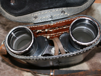 beh-7x50-399131-11-400300