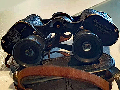 CZ 1931-01 1555184 NEDINSCO Silvamar 02
