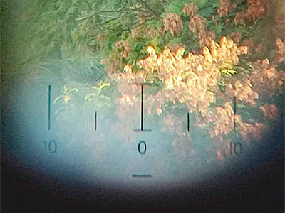 CZ 6x30 1940-07 2000045 Dienstglas 06