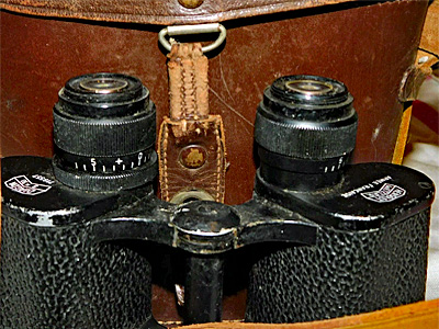 8x30 19xx 719557 DIAGON Hensoldt France 09
