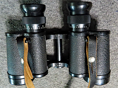 8x30 19xx 759826 DIAGON Hensoldt France 04