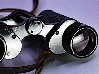 8x30 19xx 769018 DIAGON Hensoldt France 07